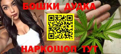 spice Дубна